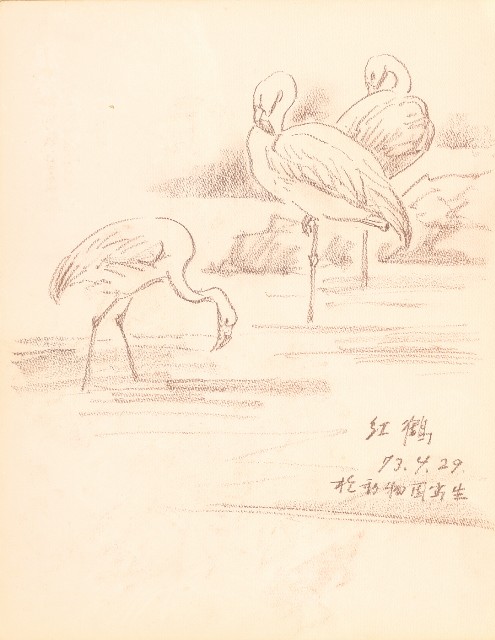 藏品:鷹、兔、鴨、獅等018的(14)張圖片