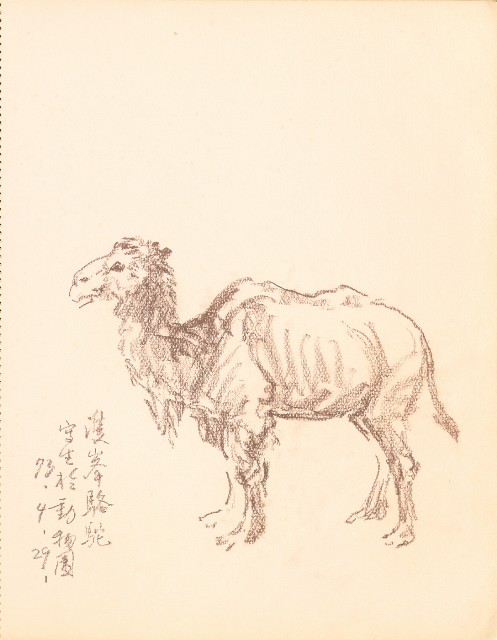 藏品:鷹、兔、鴨、獅等018的(18)張圖片