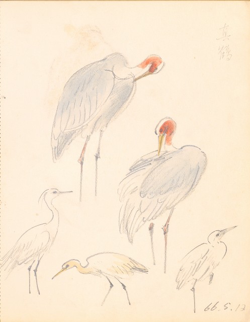 藏品:鷹、兔、鴨、獅等018的(19)張圖片