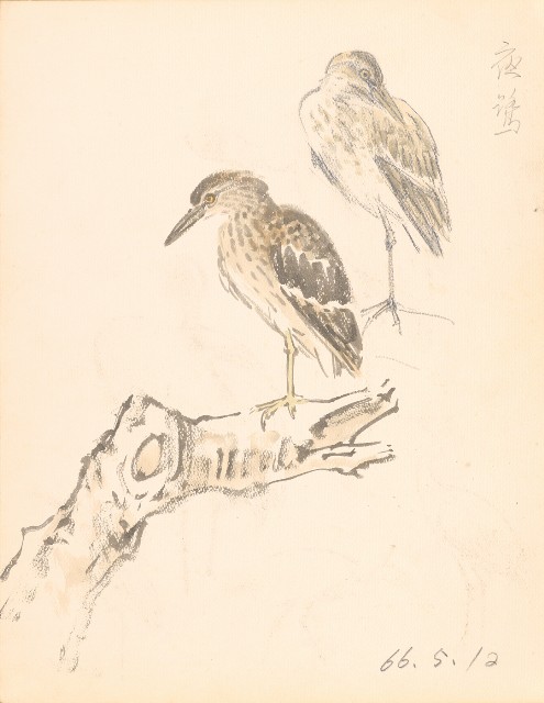 藏品:鷹、兔、鴨、獅等018的(20)張圖片