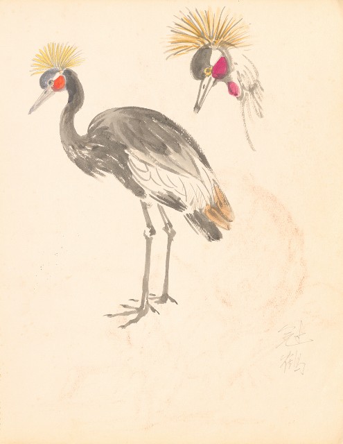 藏品:鷹、兔、鴨、獅等018的(23)張圖片