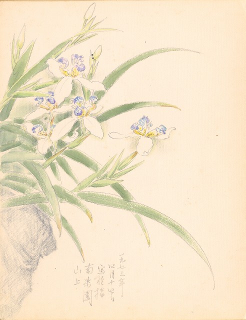 藏品:鷹、兔、鴨、獅等018的(26)張圖片