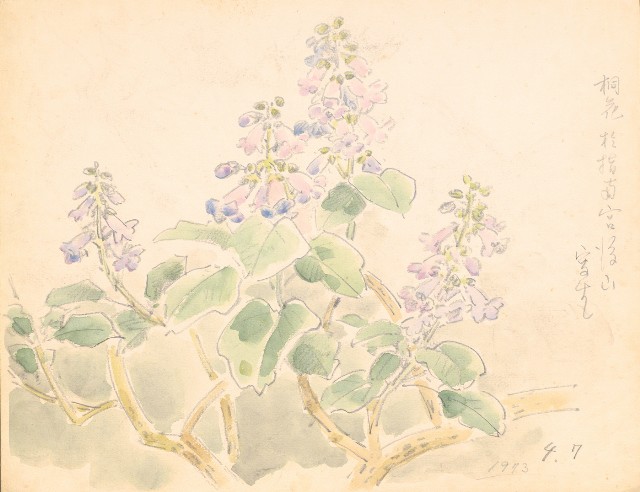 藏品:鷹、兔、鴨、獅等018的(27)張圖片