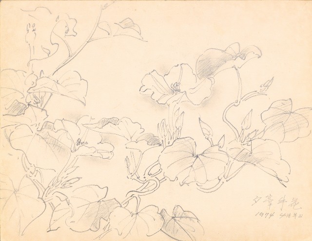 藏品:鷹、兔、鴨、獅等018的(28)張圖片