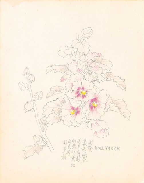 藏品:虎、獅、花、鳥、大峽谷、山豬、老樹幹019的(4)張圖片