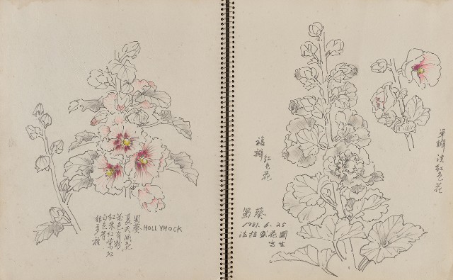 藏品:遊美國紐約、科羅拉多大峽谷、新罕布夏州等寫生集的(4)張圖片