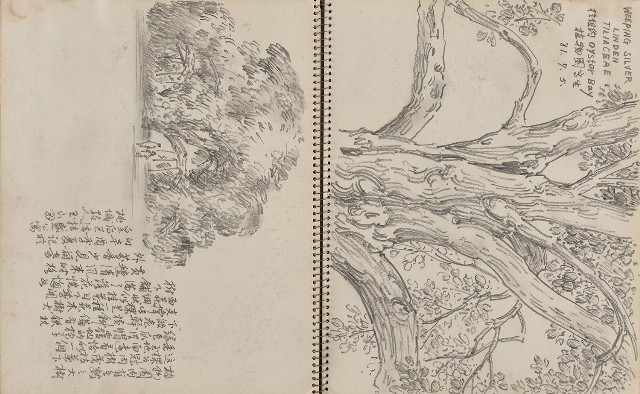藏品:遊美國紐約、科羅拉多大峽谷、新罕布夏州等寫生集的(9)張圖片
