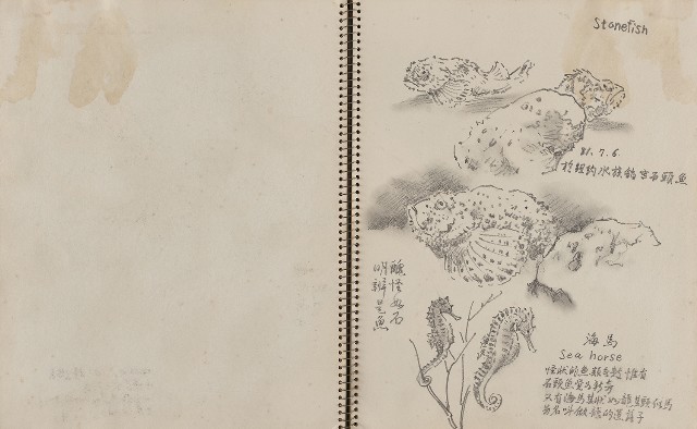 藏品:遊美國紐約、科羅拉多大峽谷、新罕布夏州等寫生集的(10)張圖片