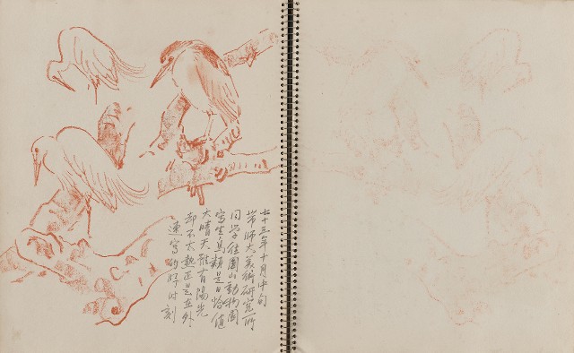 藏品:遊美國紐約、科羅拉多大峽谷、新罕布夏州等寫生集的(16)張圖片