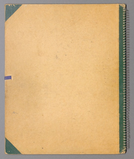 藏品:虎、獅、花、鳥、大峽谷、山豬、老樹幹019的(23)張圖片