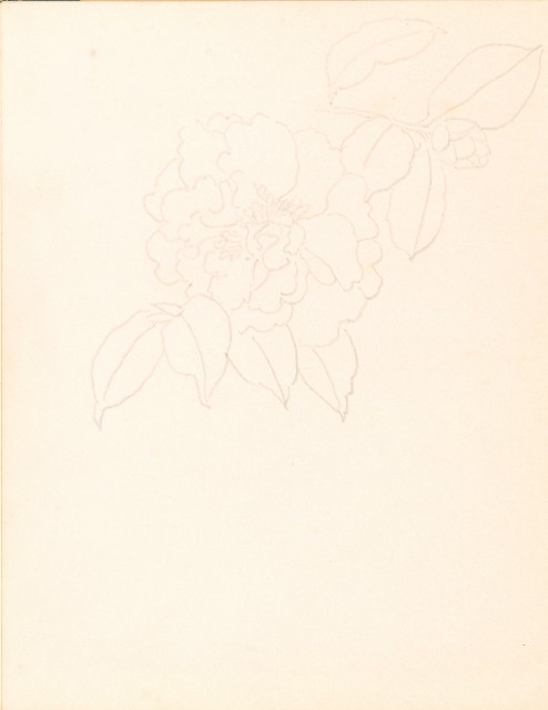 藏品:泰國苗族、鷹、鶴、鴨、猿、虎、豬、海岸等020的(3)張圖片