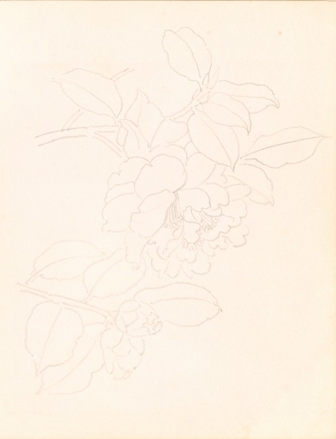 藏品:泰國苗族、鷹、鶴、鴨、猿、虎、豬、海岸等020的(4)張圖片