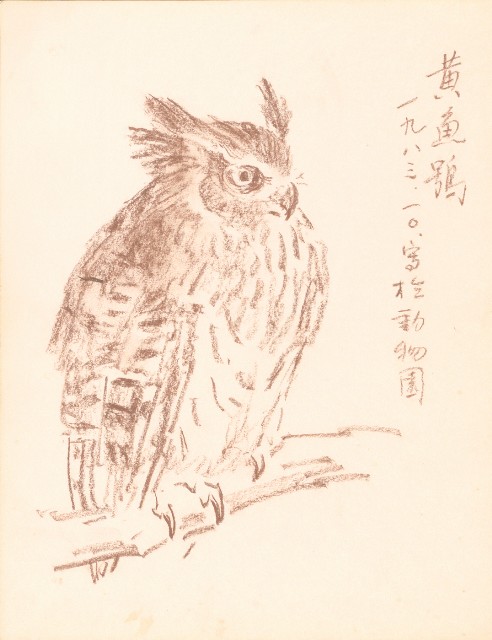 藏品:泰國苗族人物、臺北市立動物園、海岸等寫生集的(13)張圖片