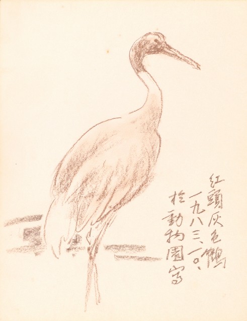 藏品:泰國苗族人物、臺北市立動物園、海岸等寫生集的(14)張圖片