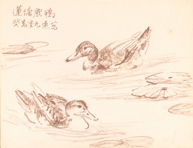 藏品:泰國苗族人物、臺北市立動物園、海岸等寫生集的(15)張圖片