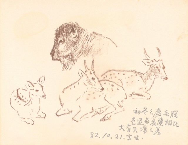 藏品:泰國苗族人物、臺北市立動物園、海岸等寫生集的(21)張圖片