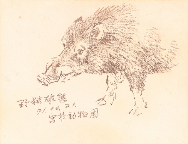 藏品:泰國苗族人物、臺北市立動物園、海岸等寫生集的(26)張圖片
