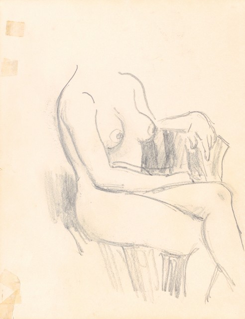 藏品:泰國苗族、鷹、鶴、鴨、猿、虎、豬、海岸等020的(27)張圖片