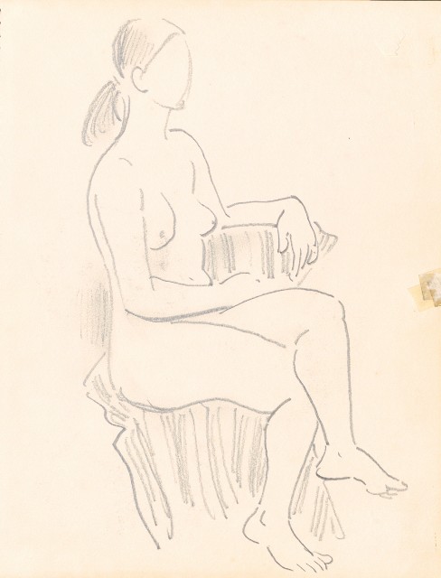 藏品:泰國苗族、鷹、鶴、鴨、猿、虎、豬、海岸等020的(28)張圖片