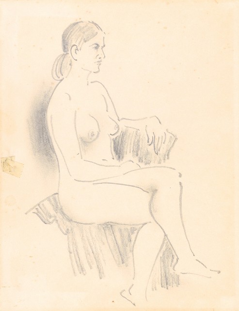 藏品:泰國苗族、鷹、鶴、鴨、猿、虎、豬、海岸等020的(29)張圖片