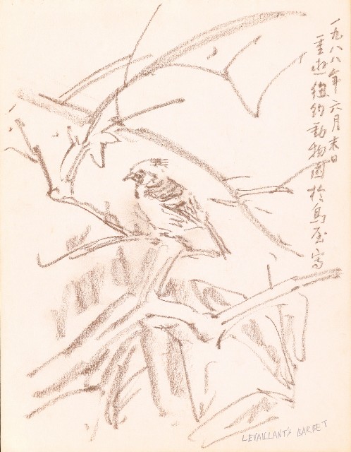 藏品:山、海、海岸、秀姬夫婦、牛、鹿、松樹021的(7)張圖片