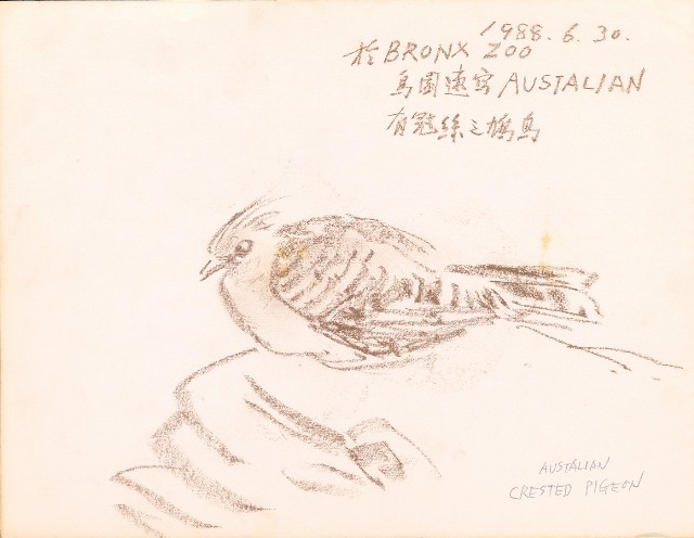 藏品:美國紐約之旅、臺北市立動物園、海景等寫生集的(10)張圖片