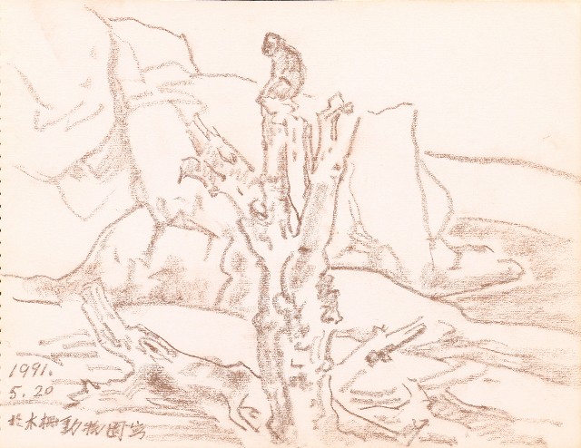 藏品:山、海、海岸、秀姬夫婦、牛、鹿、松樹021的(23)張圖片