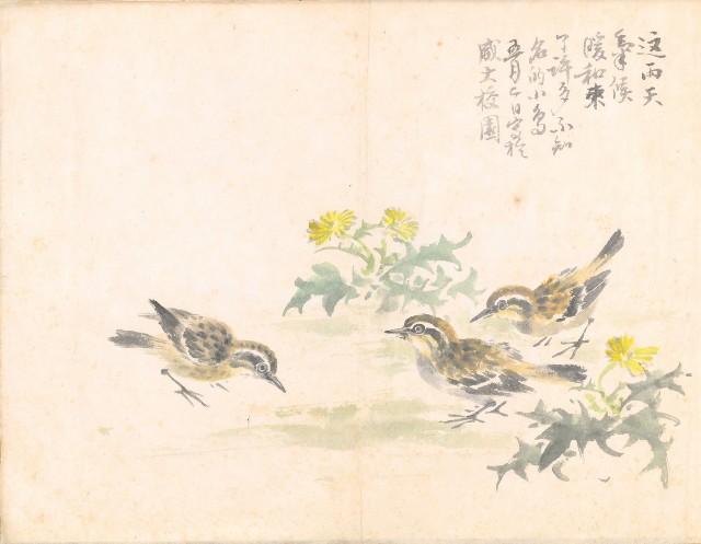 藏品:遊美寫生樂023B的(5)張圖片