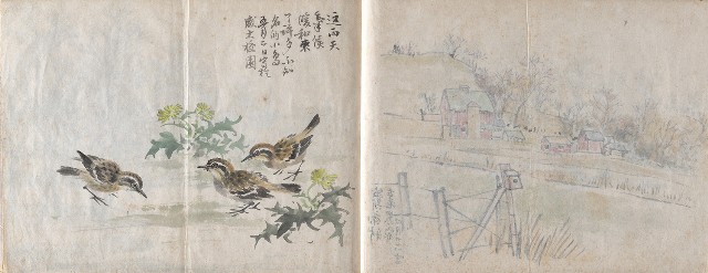 藏品:美國威斯康辛、圓山動物園寫生集的(6)張圖片