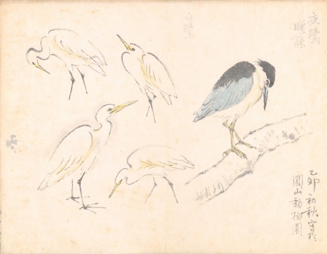 藏品:遊美寫生樂023B的(7)張圖片