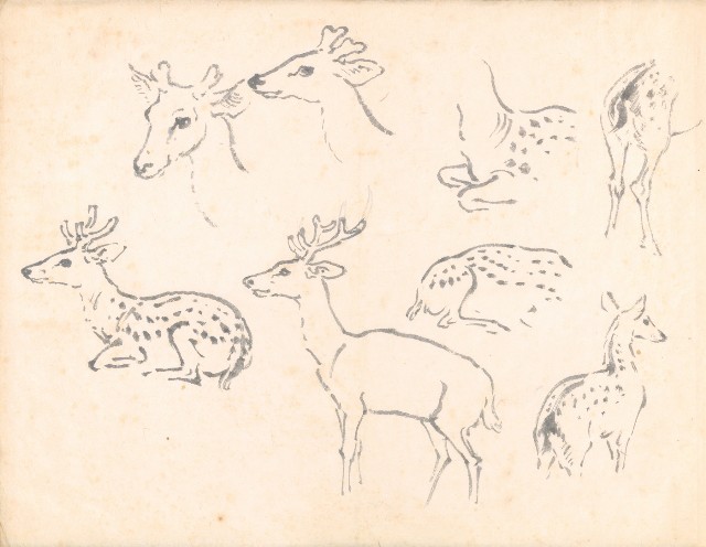 藏品:遊美寫生樂023B的(8)張圖片