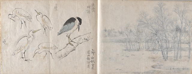 藏品:美國威斯康辛、圓山動物園寫生集的(8)張圖片