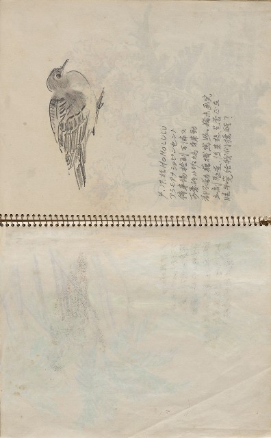 藏品:美國夏威夷、威斯康新、舊金山及臺灣桃園慈湖、溪頭等地寫生集的(3)張圖片