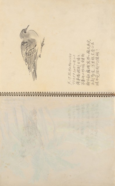 藏品:美國夏威夷、威斯康新、舊金山及臺灣桃園慈湖、溪頭等地寫生集的(3)張圖片