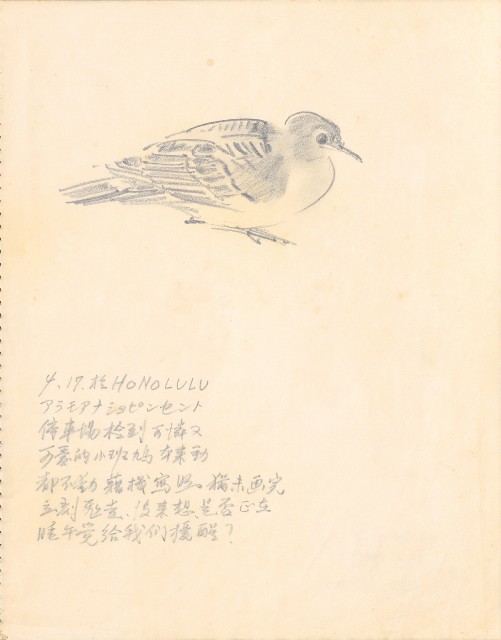 藏品:1975-1980年間威尼斯康新、溪頭、野生動物園等地025的(3)張圖片