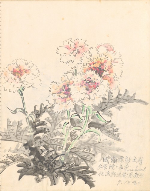 藏品:1975-1980年間威尼斯康新、溪頭、野生動物園等地025的(4)張圖片