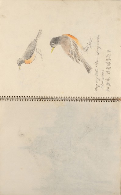 藏品:美國夏威夷、威斯康新、舊金山及臺灣桃園慈湖、溪頭等地寫生集的(6)張圖片