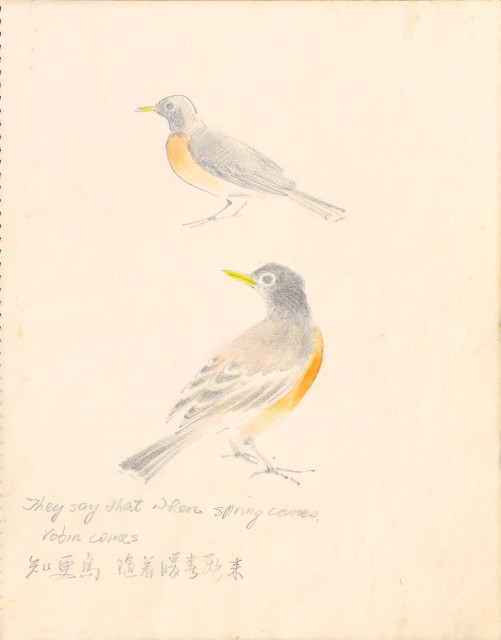 藏品:1975-1980年間威尼斯康新、溪頭、野生動物園等地025的(6)張圖片