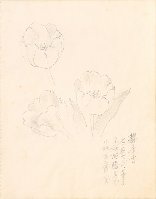 藏品:1975-1980年間威尼斯康新、溪頭、野生動物園等地025的(8)張圖片