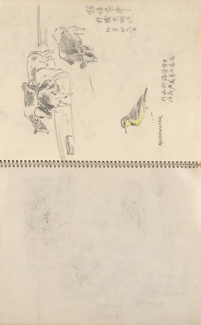 藏品:美國夏威夷、威斯康新、舊金山及臺灣桃園慈湖、溪頭等地寫生集的(9)張圖片