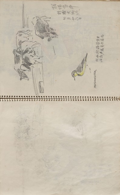 藏品:美國夏威夷、威斯康新、舊金山及臺灣桃園慈湖、溪頭等地寫生集的(9)張圖片