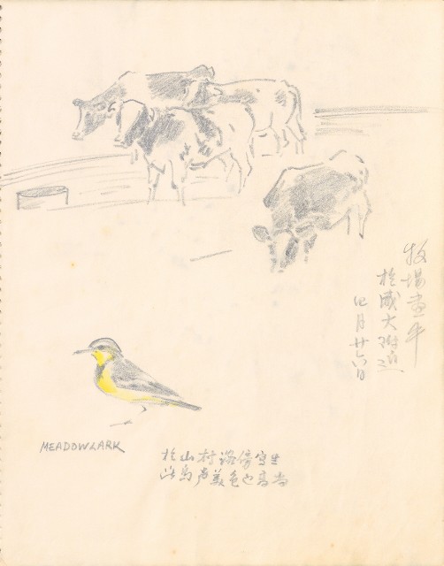 藏品:1975-1980年間威尼斯康新、溪頭、野生動物園等地025的(9)張圖片