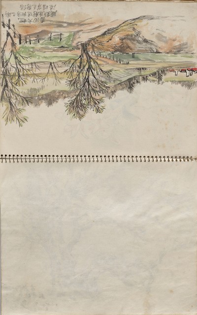 藏品:美國夏威夷、威斯康新、舊金山及臺灣桃園慈湖、溪頭等地寫生集的(12)張圖片