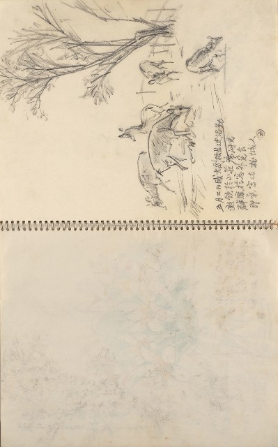 藏品:美國夏威夷、威斯康新、舊金山及臺灣桃園慈湖、溪頭等地寫生集的(14)張圖片