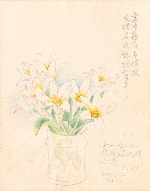 藏品:1975-1980年間威尼斯康新、溪頭、野生動物園等地025的(13)張圖片