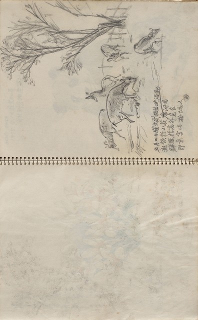 藏品:美國夏威夷、威斯康新、舊金山及臺灣桃園慈湖、溪頭等地寫生集的(14)張圖片