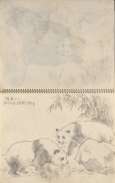 藏品:美國夏威夷、威斯康新、舊金山及臺灣桃園慈湖、溪頭等地寫生集的(16)張圖片
