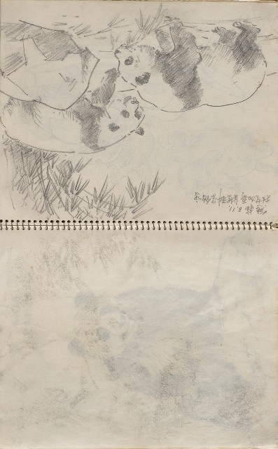 藏品:美國夏威夷、威斯康新、舊金山及臺灣桃園慈湖、溪頭等地寫生集的(16)張圖片