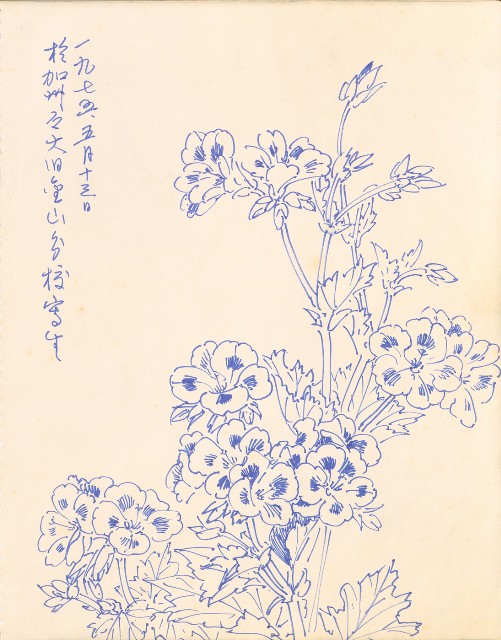 藏品:1975-1980年間威尼斯康新、溪頭、野生動物園等地025的(19)張圖片