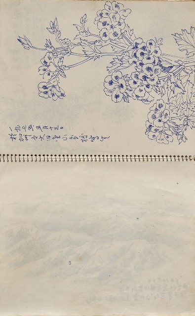 藏品:美國夏威夷、威斯康新、舊金山及臺灣桃園慈湖、溪頭等地寫生集的(20)張圖片